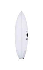 Chilli Black Vulture