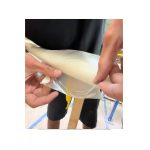 FCS Simple Patch Repair Patch | Parche Reparación Tabla de Surf - Imagen 2